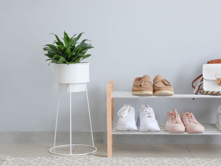 piccola scarpiera con scarpe posta accanto ad una pianta